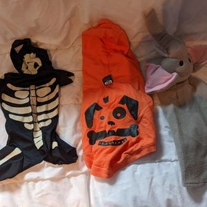 3 Halloween dog outfits